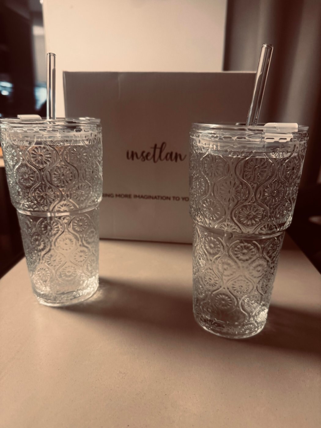 INSETLAN 600ml Begonie Glasbecher mit Deckel und Strohhalm – dickwandig und robust